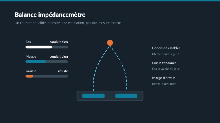 Balance impédancemètre : comment lire ses résultats